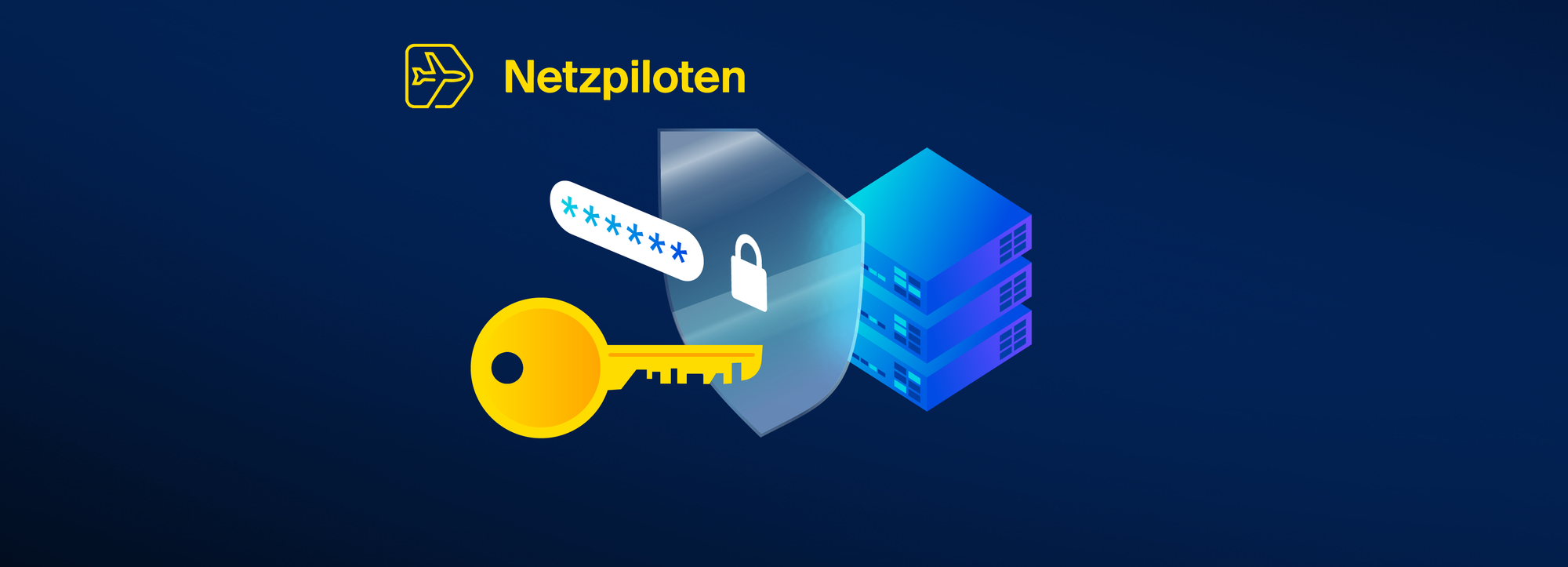 IT security Netzpiloten