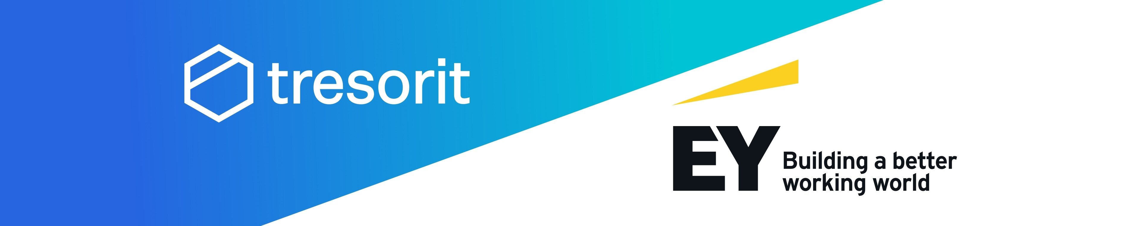 Ernst & Young review&nbsp;verifies&nbsp;Tresorit’s security architecture