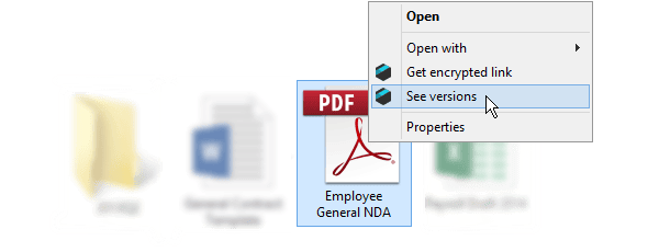 Right click on the file and choose 'see versions' option