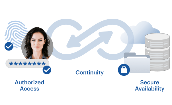 data-access-availability-continuity