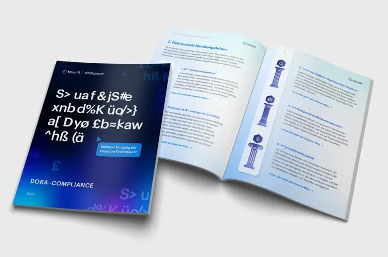 de-dora-whitepaper-mockup