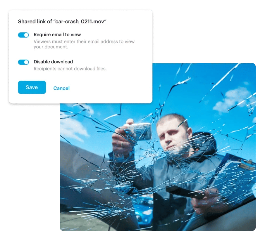 Tresorit File Sharing settings dialog restricting downloads and requiring email verification.